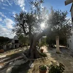 Catherine's * Ostuni