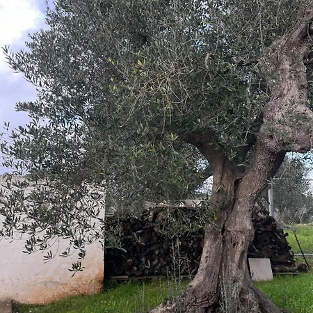 Catherine's Holiday home Ostuni