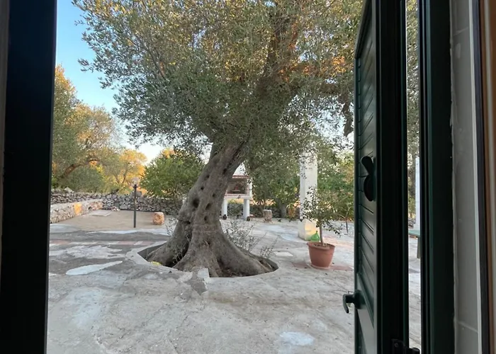 Catherine's Holiday home *