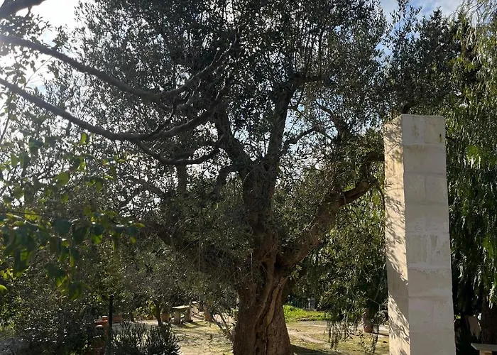 Catherine's Holiday home